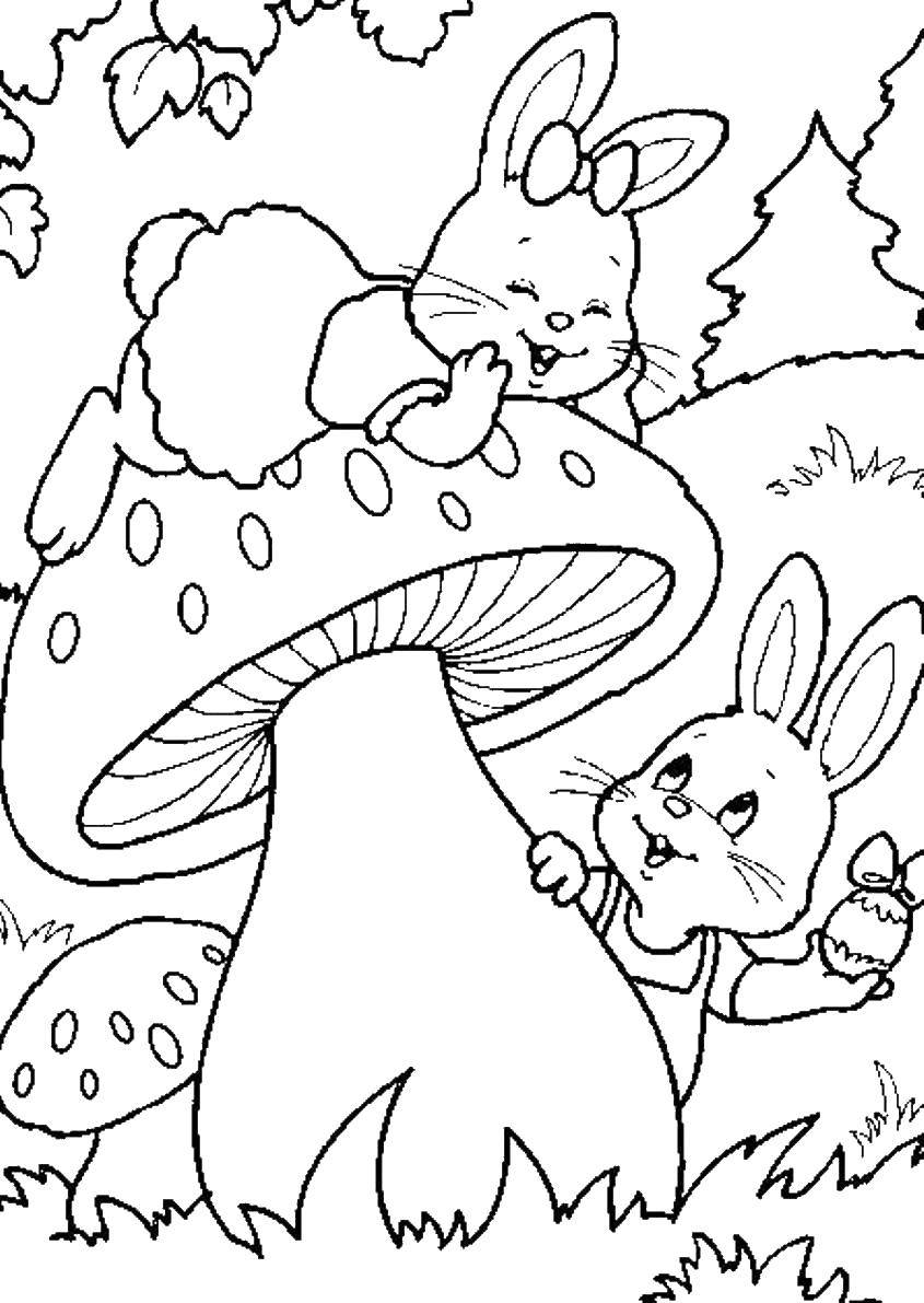 Розмальовки  Кролики і гриб. Завантажити розмальовку кролики, гриб.  Роздрукувати ,кролик,