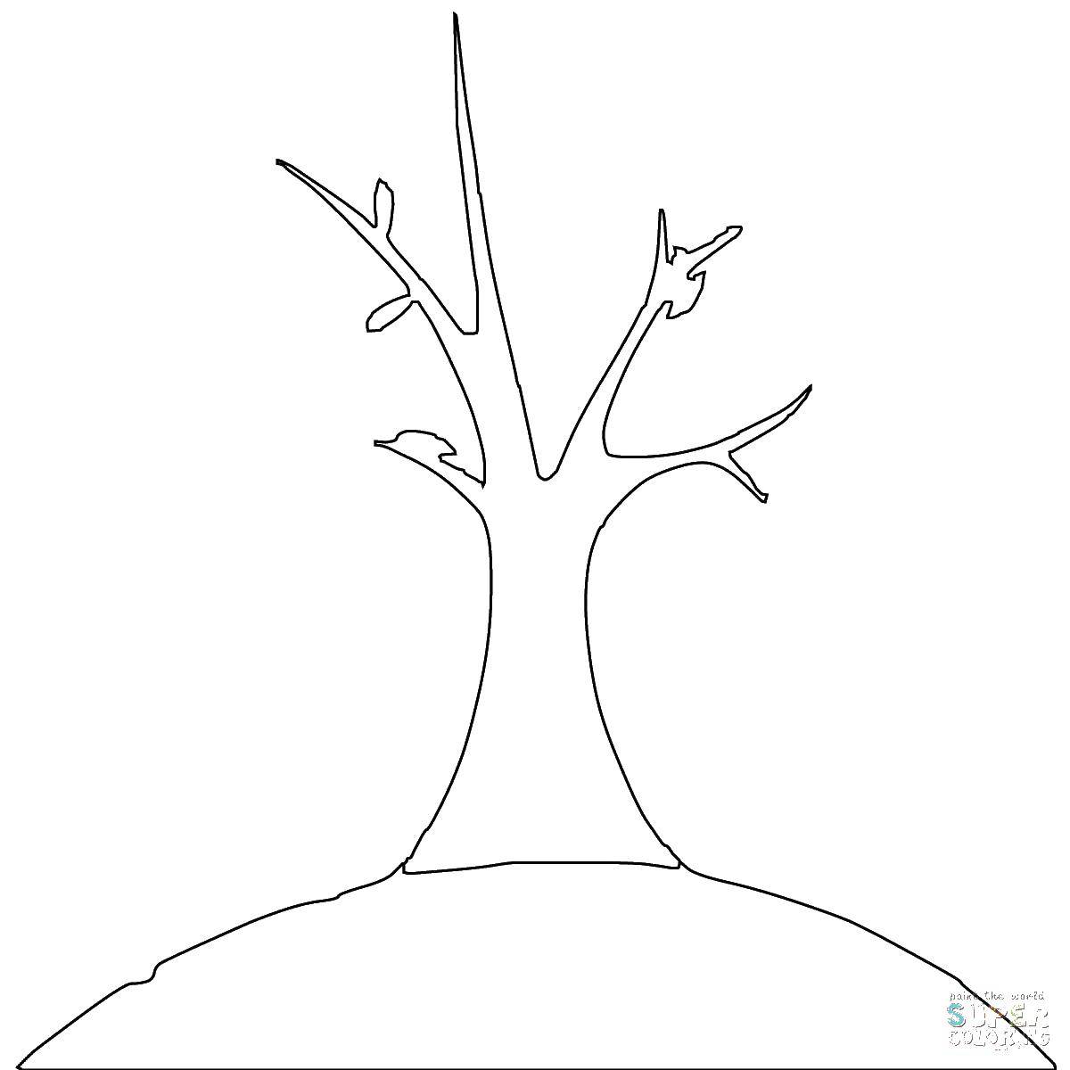 Название: Раскраска Дерево. Категория: Семейное дерево. Теги: дерево.