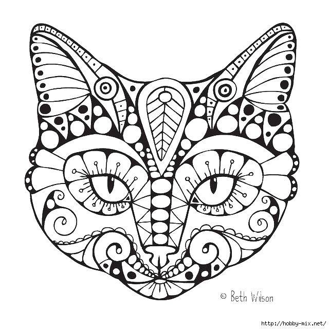 Coloring Cat. Category coloring antistress. Tags:  the head of a cat .