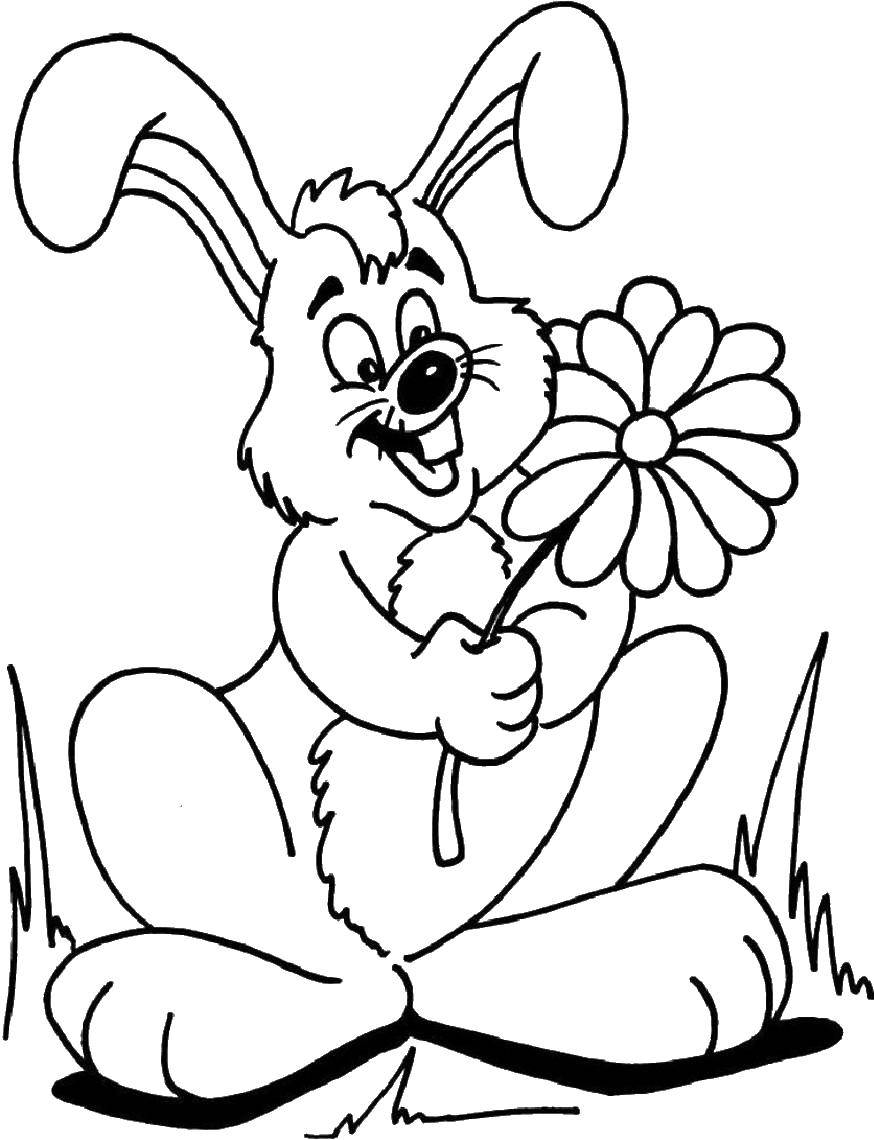 Название: Раскраска Кролик с цветком. Категория: кролик. Теги: кролик.