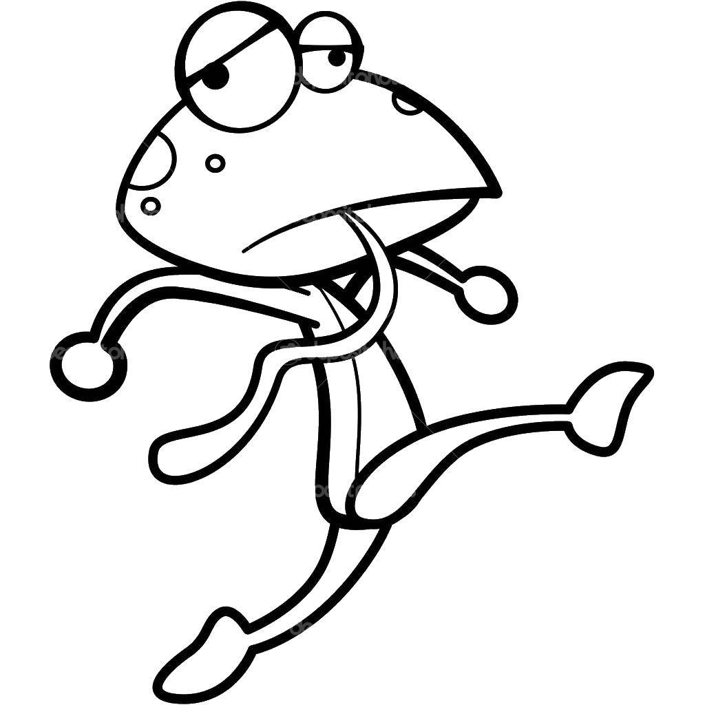 Coloring Frog. Category frogs. Tags:  The frog.