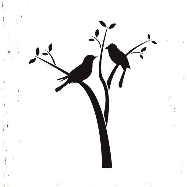 Coloring Birds on a branch. Category birds. Tags:  birds, branch.