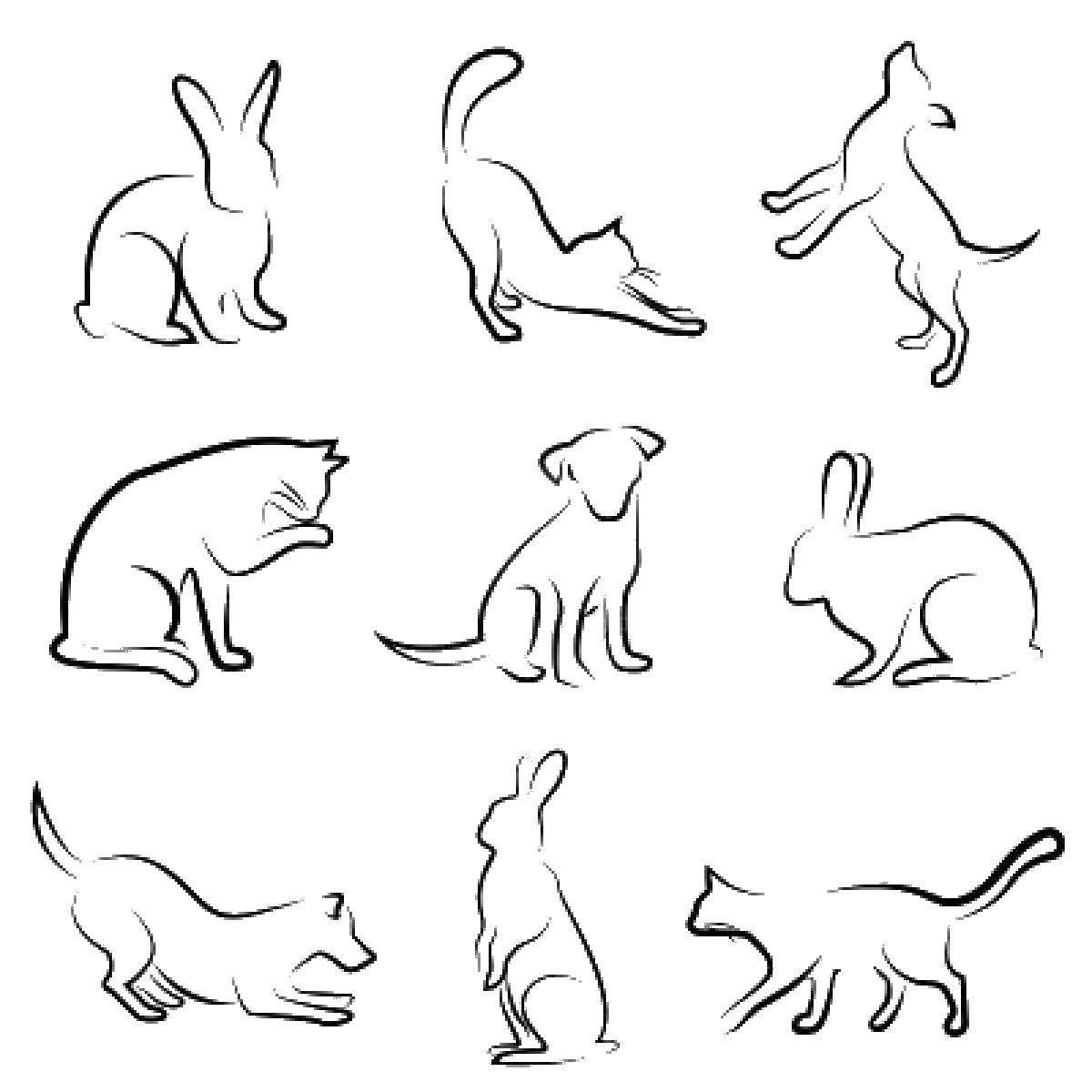 Название: Раскраска Различные животные. Категория: кролик. Теги: кролик, кот, собака.