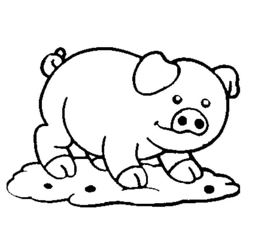 Название: Раскраска Свинка на лужайке. Категория: домашние животные. Теги: свинья.