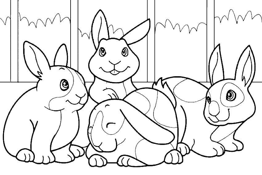 Coloring Three cheerful rabbit. Category the rabbit. Tags:  rabbits.