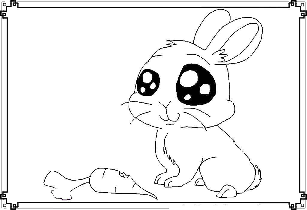 Coloring Big-eyed Bunny. Category Animals. Tags:  Animals, Bunny.