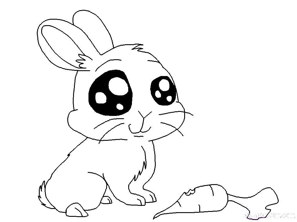 Coloring Big-eyed Bunny. Category Animals. Tags:  Animals, Bunny.