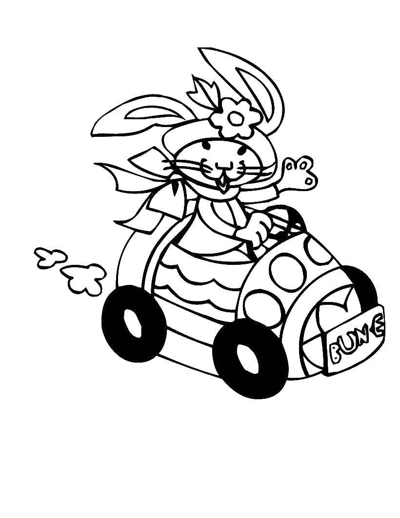 Название: Раскраска Крольчиха за рулем. Категория: кролик. Теги: кролик, заяц.