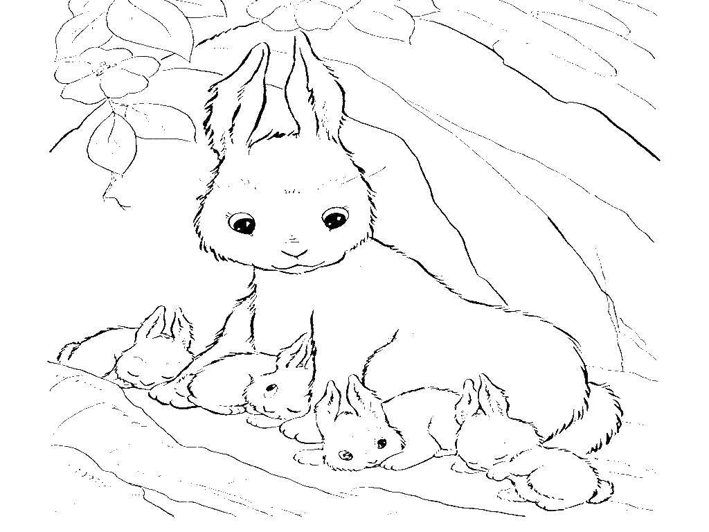 Название: Раскраска Мама крольчиха с малышами. Категория: кролик. Теги: Животные, зайчик.