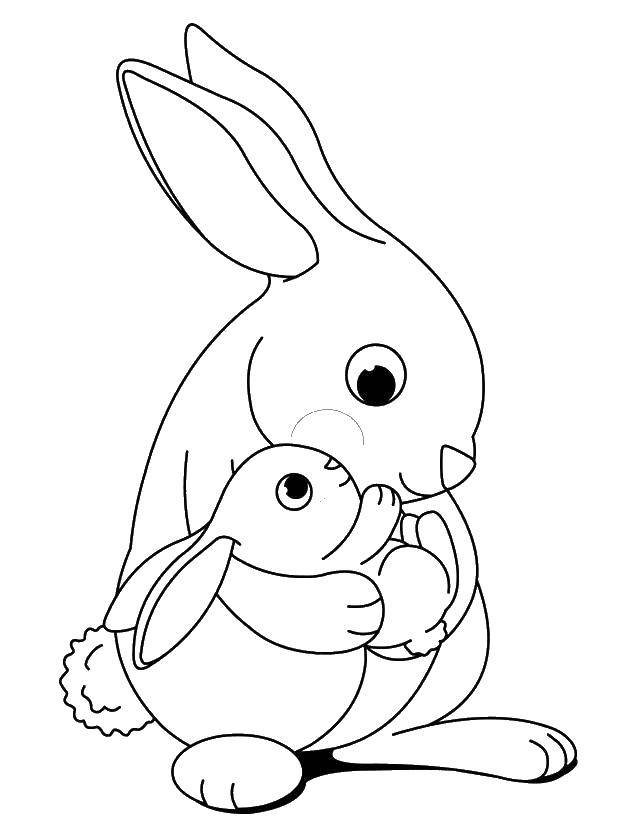 Coloring Mother rabbit with baby. Category the rabbit. Tags:  Animals, Bunny.