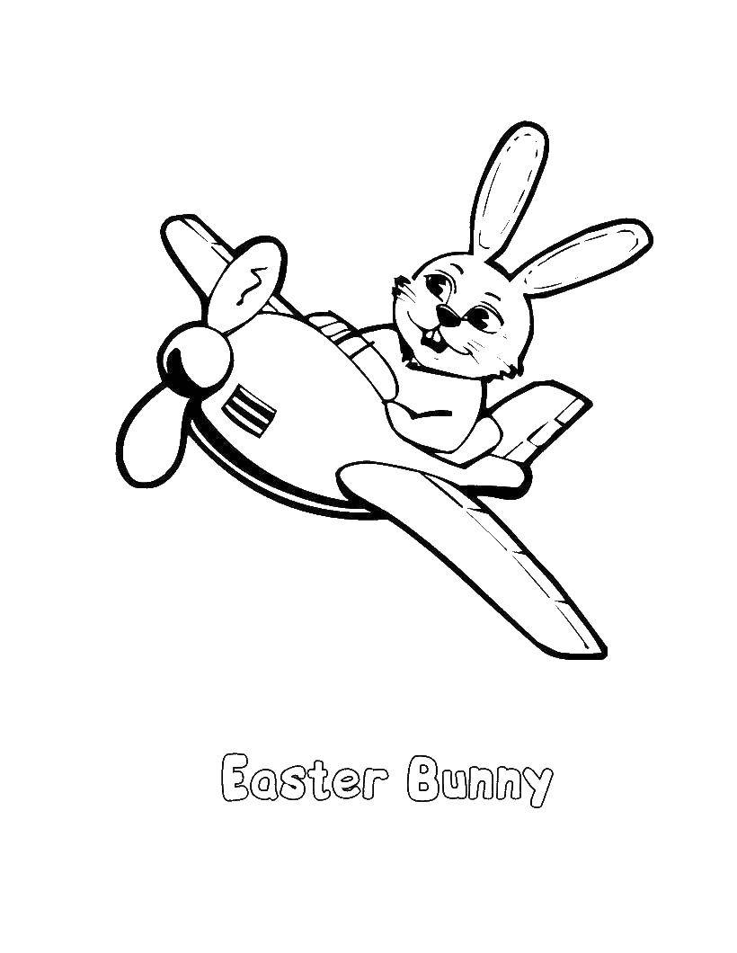 Coloring Easter Bunny on the plane. Category coloring Easter. Tags:  Easter, eggs, rabbit, airplane.