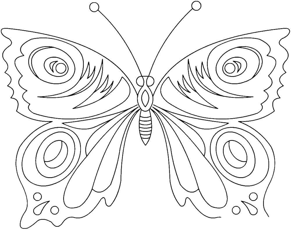 Coloring Butterfly. Category butterflies. Tags:  butterfly.