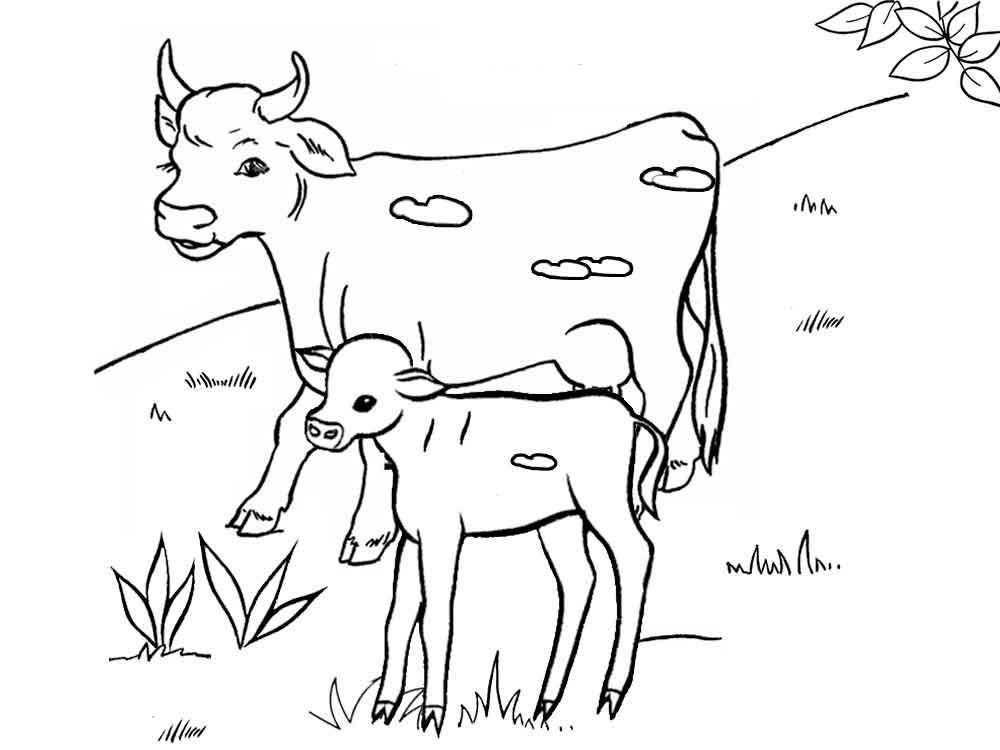 Название: Раскраска Корова с теленком на лугу. Категория: домашние животные. Теги: корова, теленок, луг.
