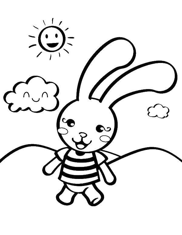 Coloring Rabbit in the meadow. Category the rabbit. Tags:  rabbit, hare.