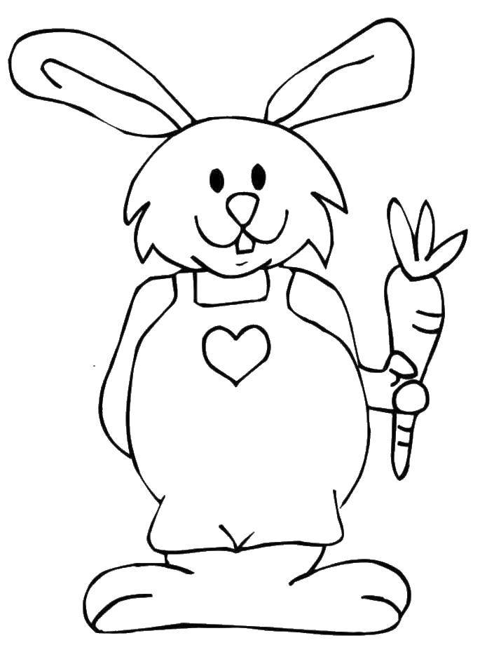 Coloring Rabbit with carrot. Category the rabbit. Tags:  rabbit, hare.