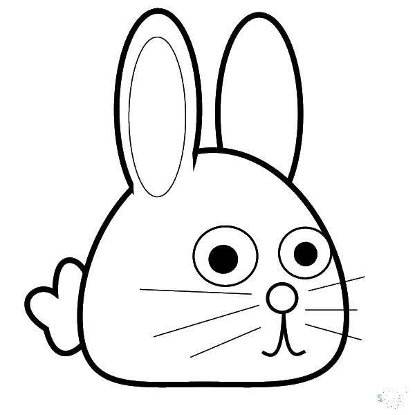 Название: Раскраска Круглый кролик. Категория: кролик. Теги: кролик, уши, хвост, голова.
