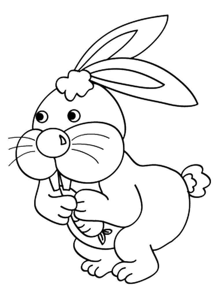 Coloring A Bunny with a carrot. Category Animals. Tags:  Animals, Bunny.