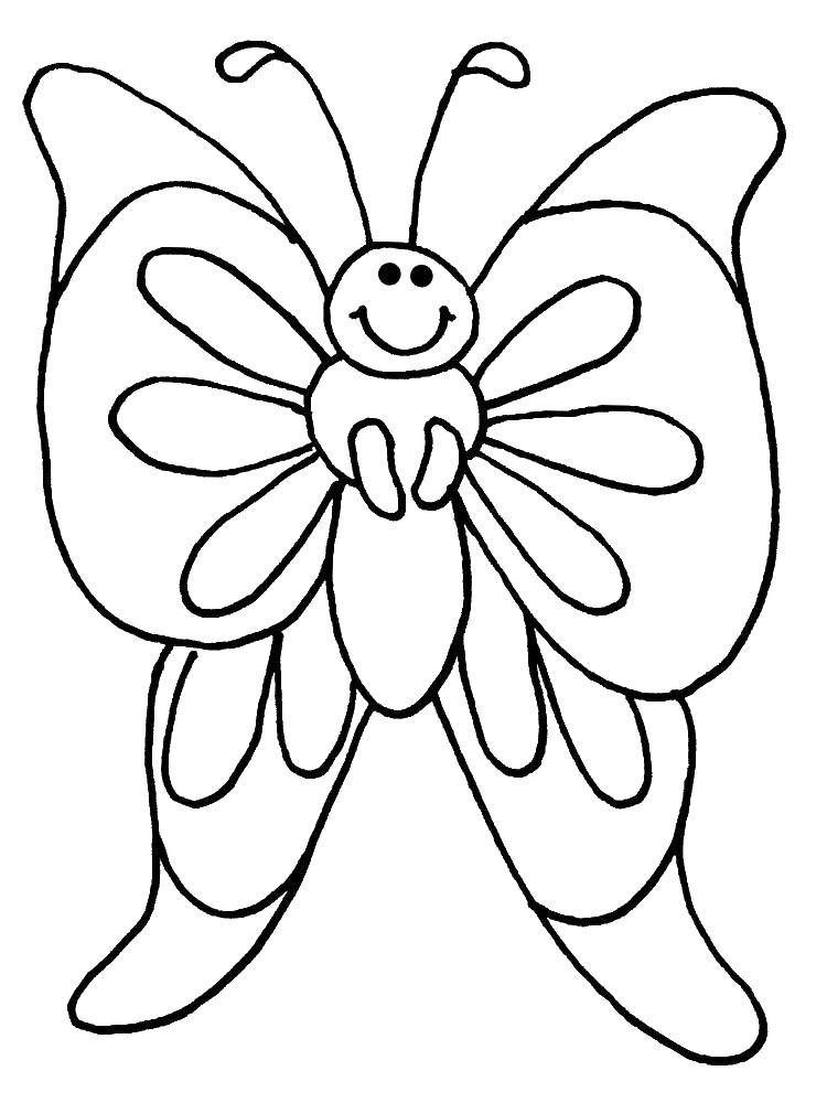 Coloring Butterfly. Category butterflies. Tags:  butterfly.