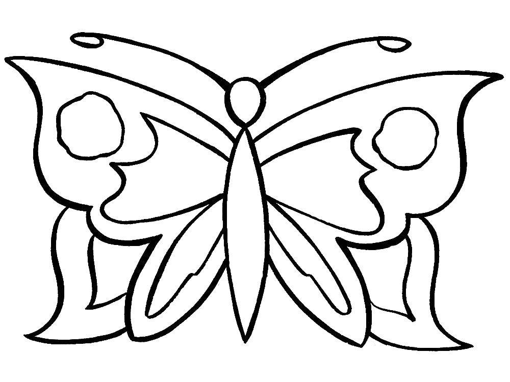 Coloring Butterfly. Category butterflies. Tags:  butterfly.