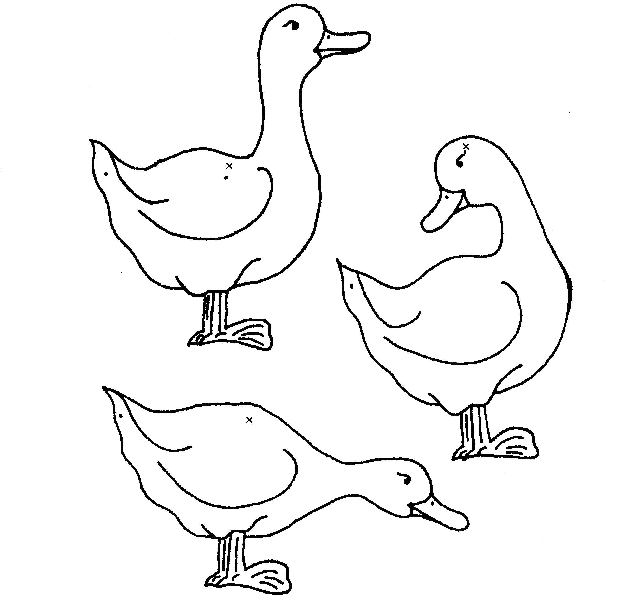 Coloring Geese. Category birds. Tags:  Birds, goose.