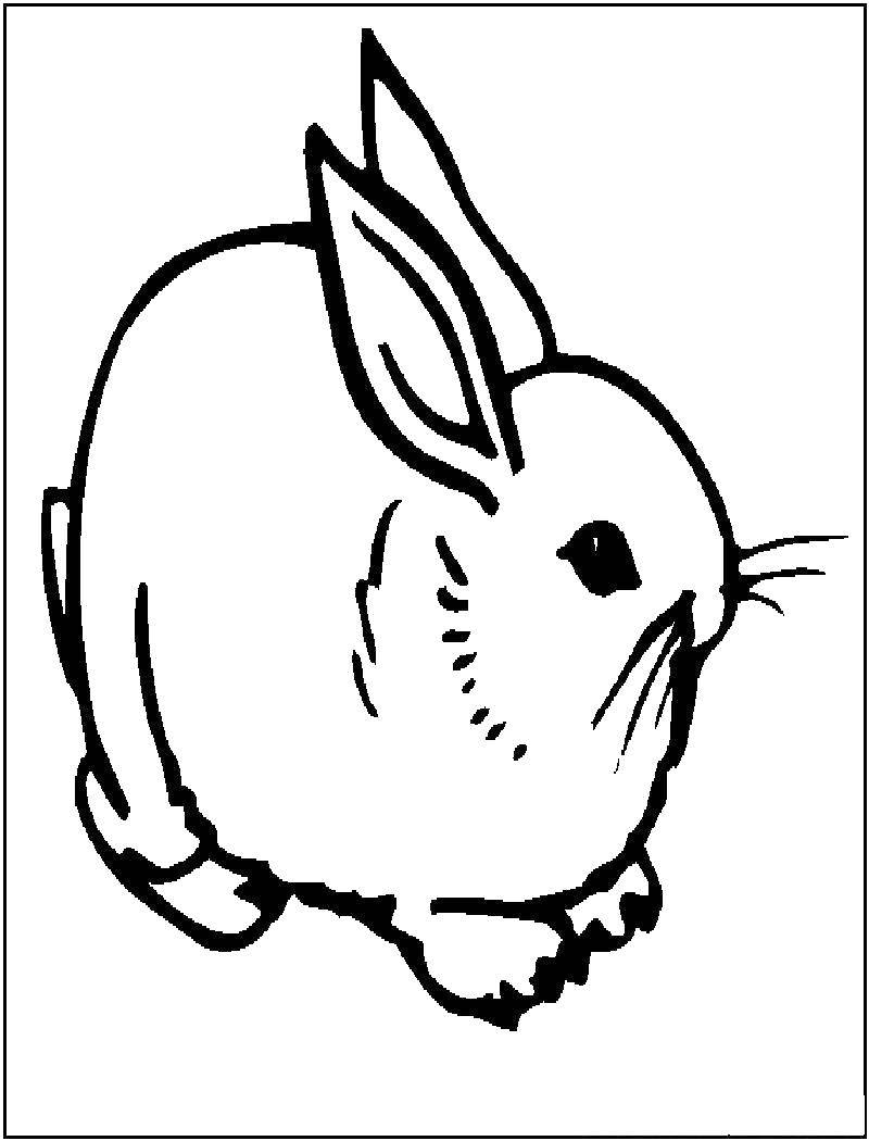 Название: Раскраска Крольчишка. Категория: кролик. Теги: Животные, зайчик.