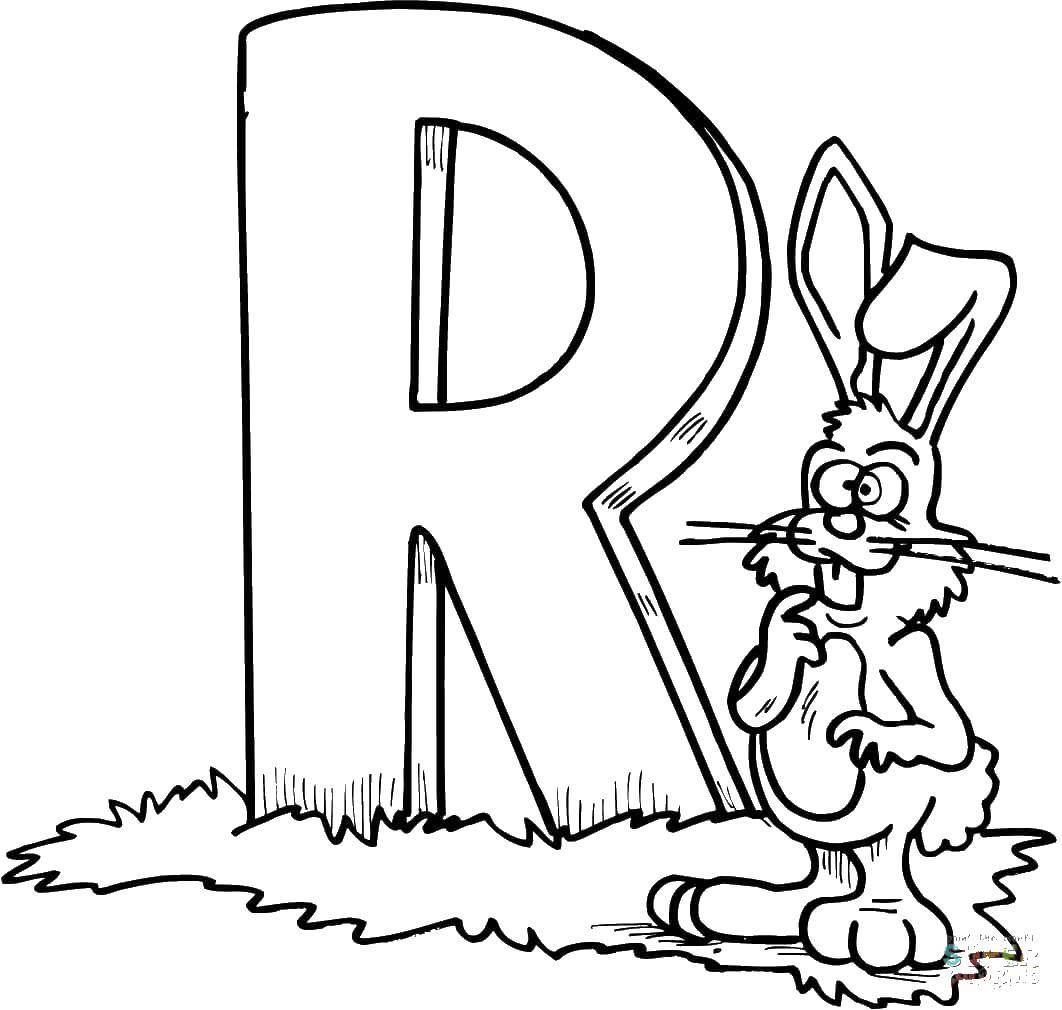 Coloring Rabbit. Category English. Tags:  English, animals.