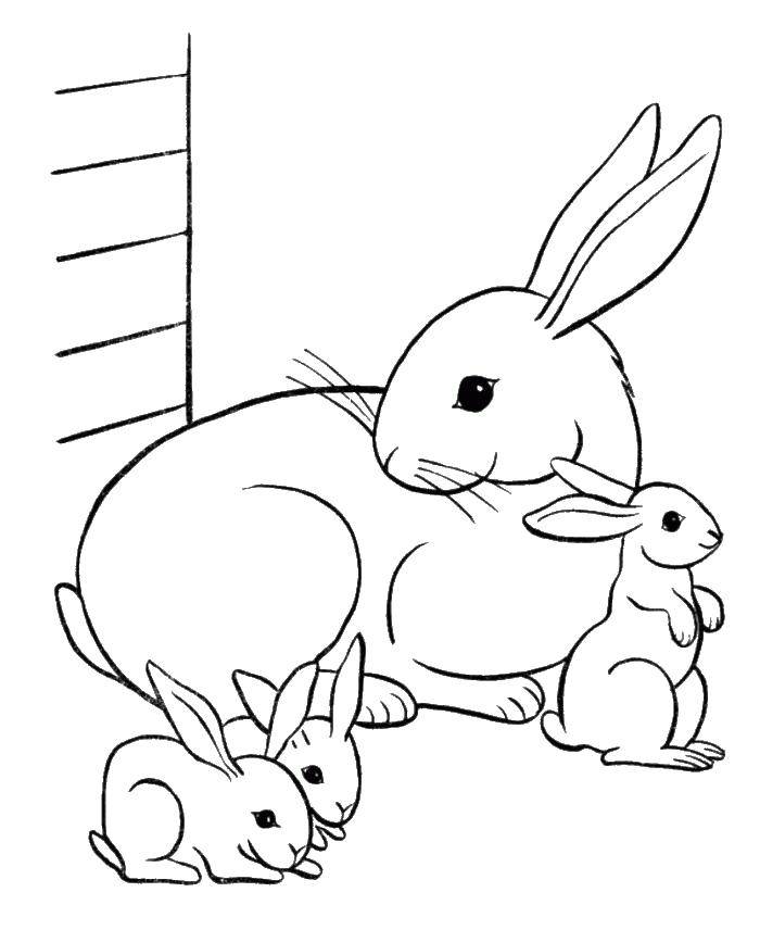 Название: Раскраска Мама зайчиха с зайчатами. Категория: Животные. Теги: Животные, зайчик.