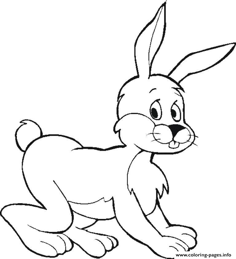 Название: Раскраска Попрыгунчик. Категория: кролик. Теги: Животные, зайчик.