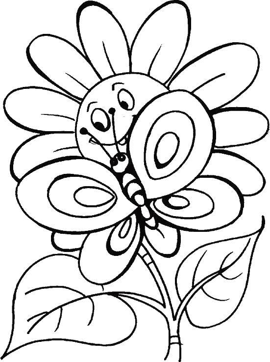 Название: Раскраска Бабочка на подсолнухе. Категория: бабочки. Теги: бабочка, подсолнух.