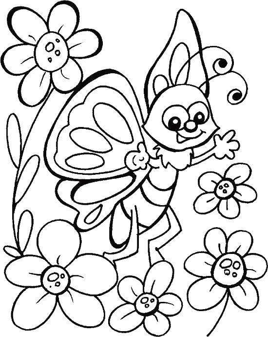 Раскраска Бабочка на цветке