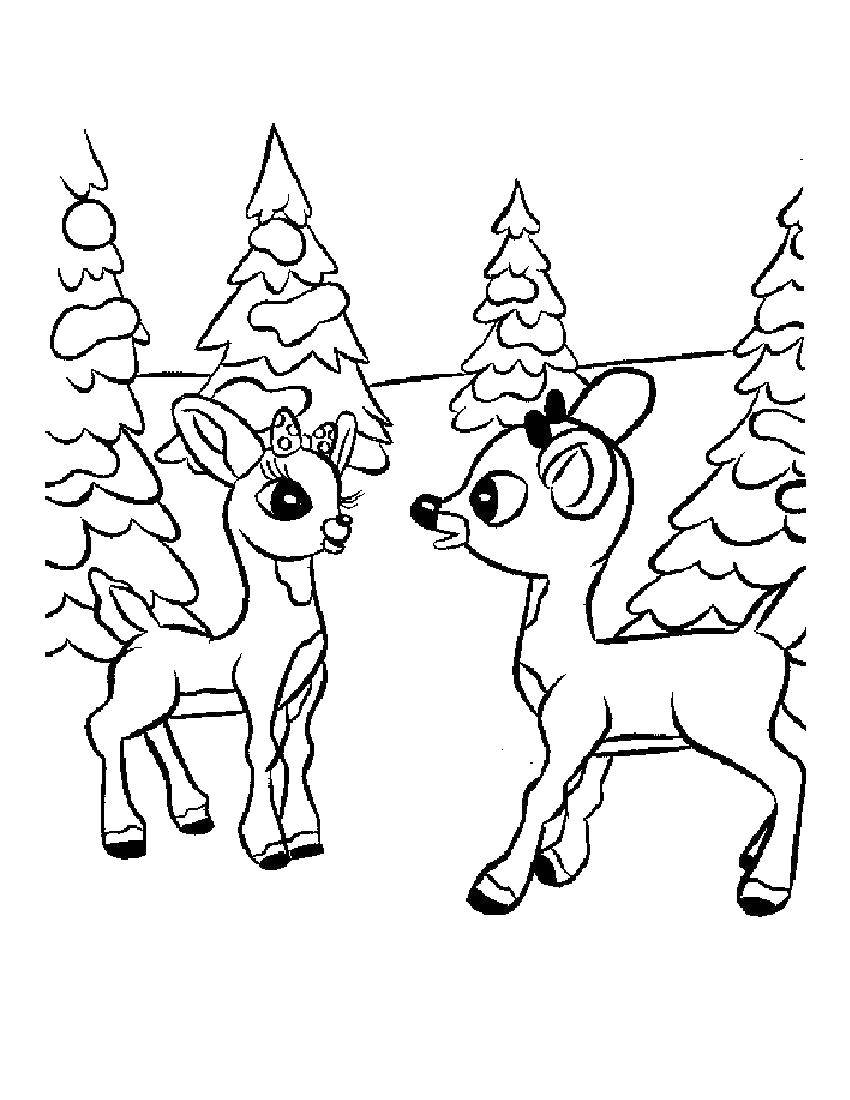 Название: Раскраска Олени гуляют в лесу. Категория: Животные. Теги: Животные, олень.