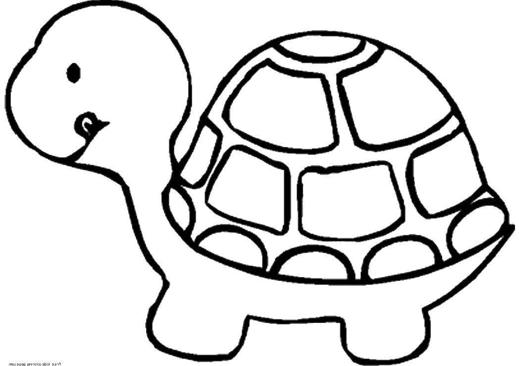 Название: Раскраска Пакемон черепашка. Категория: Покемоны. Теги: Рептилия, черепаха.