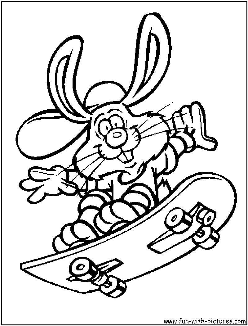 Coloring Bunny on a skateboard. Category Animals. Tags:  Animals, Bunny.