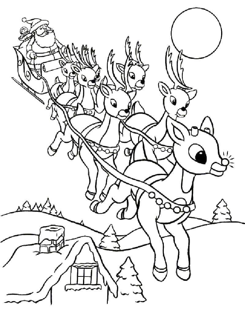 Coloring Santa Claus on sledge with deer. Category Christmas. Tags:  Christmas, Santa Claus.