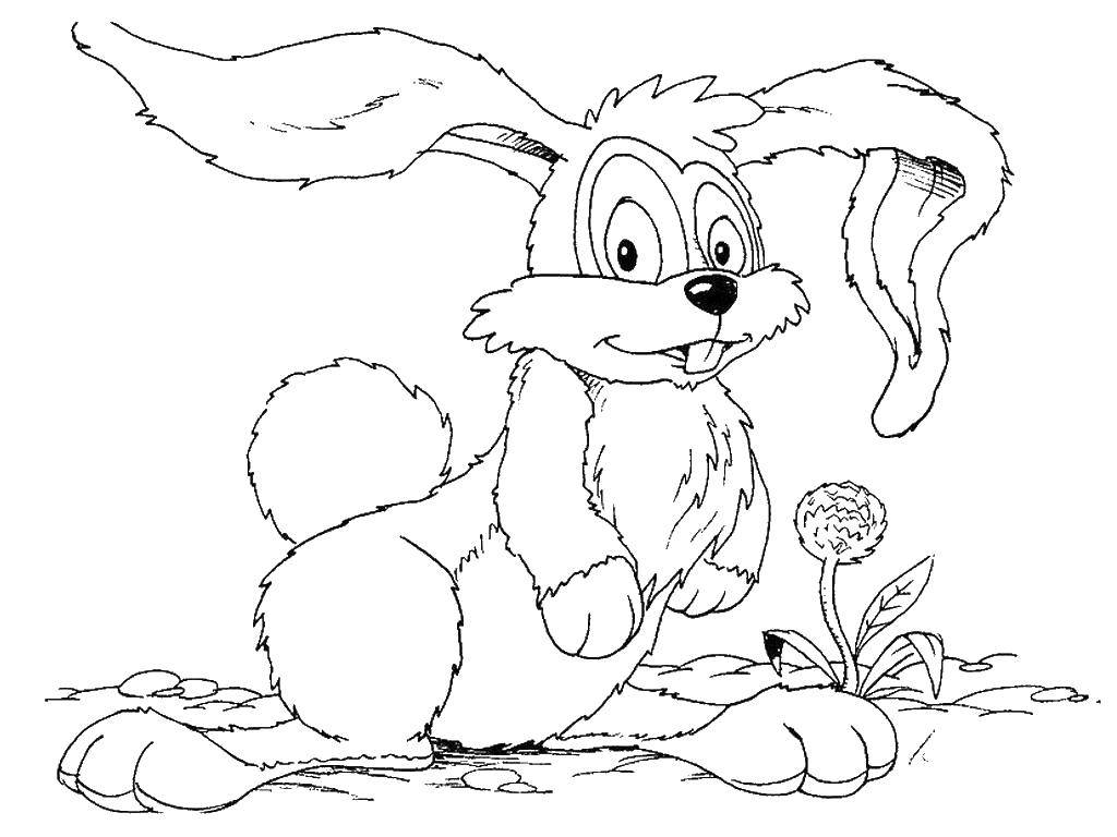 Название: Раскраска Зайчишка с цветочком. Категория: Животные. Теги: Животные, зайчик.