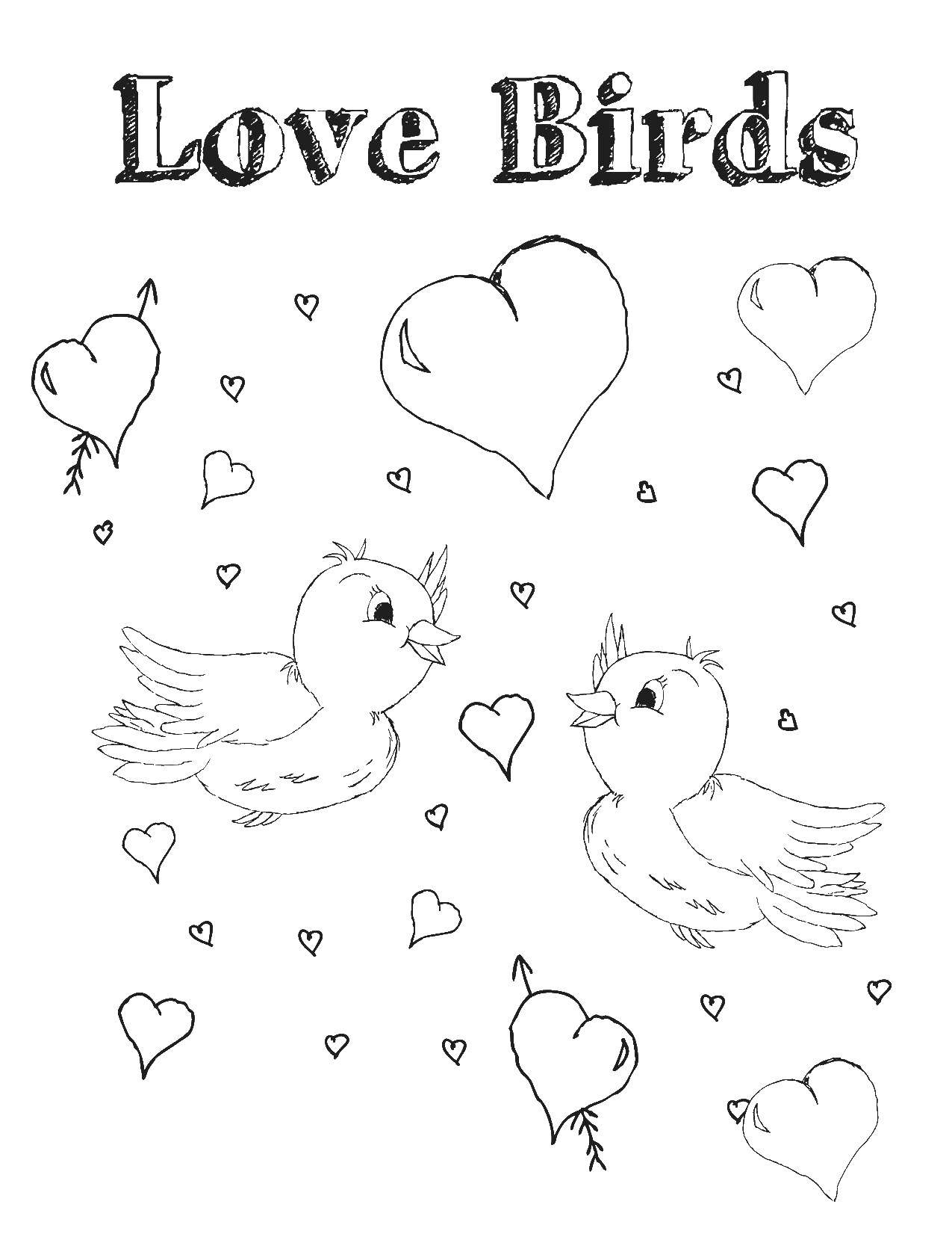 Название: Раскраска Две птички. Категория: День святого валентина. Теги: птицы, сердечки.