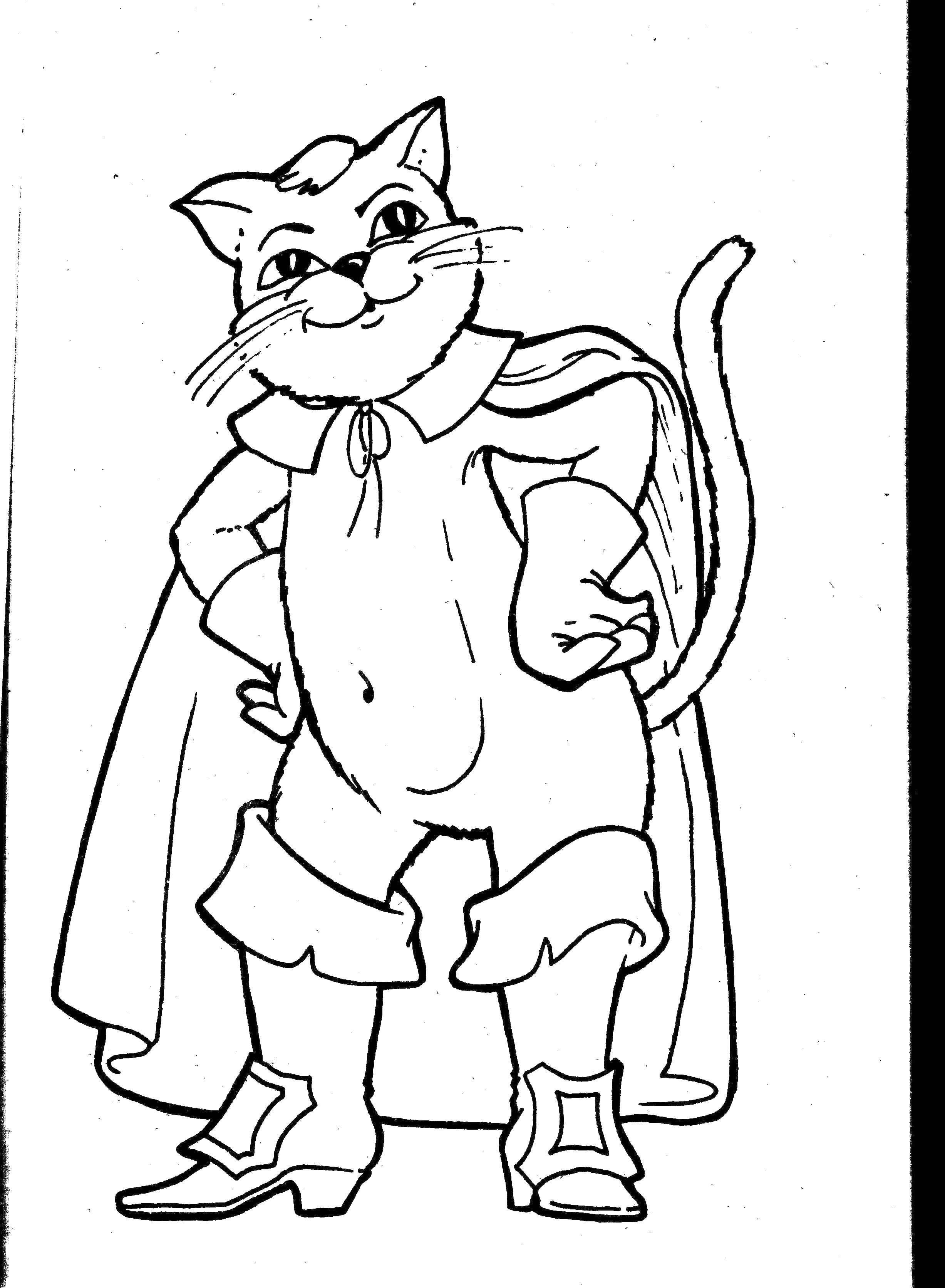Coloring Puss in boots. Category cartoons. Tags:  cat, cloak, boots.