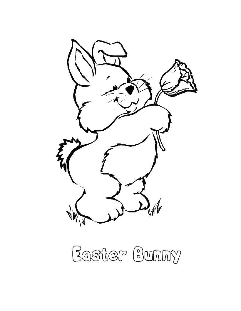 Название: Раскраска Кролик с цветком. Категория: пасхальный кролик. Теги: кролик, надпись, цветок.