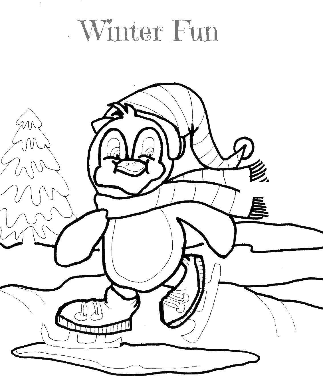 Название: Раскраска Пингвин на коньках. Категория: зимние развлечения. Теги: пингвин, лед, коньки.