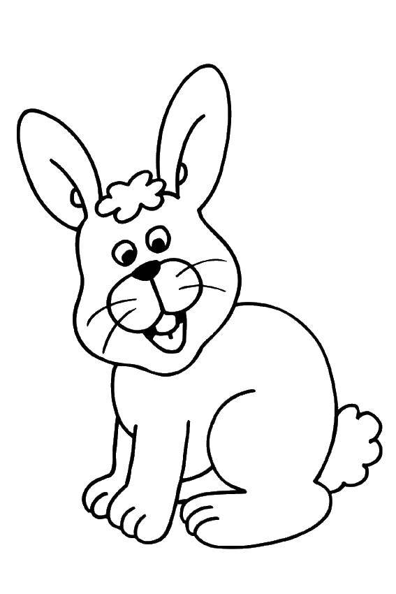 Название: Раскраска Улыбающийся кролик. Категория: кролик. Теги: кролик, улыбка.