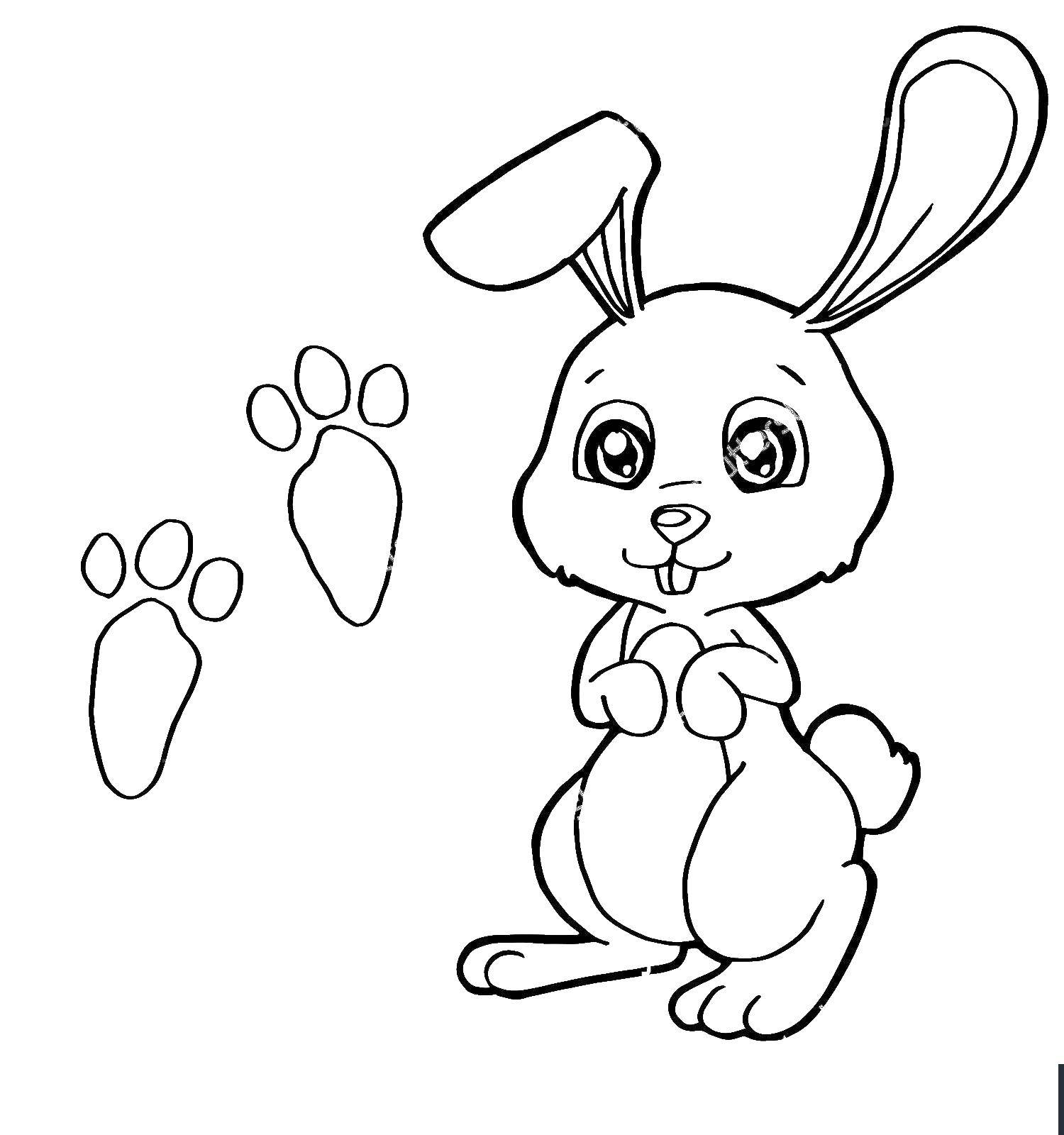 Название: Раскраска Кролик с морковкой. Категория: кролик. Теги: кролик, заяц, морковка.