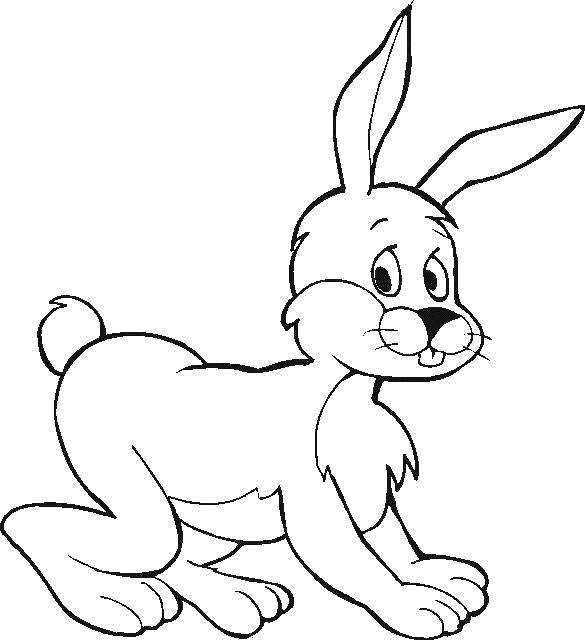 Coloring Rabbit. Category the rabbit. Tags:  rabbit, hare.