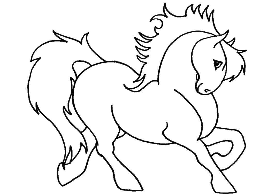 Coloring A horse with a lush mane. Category Animals. Tags:  horse, tail, hooves.