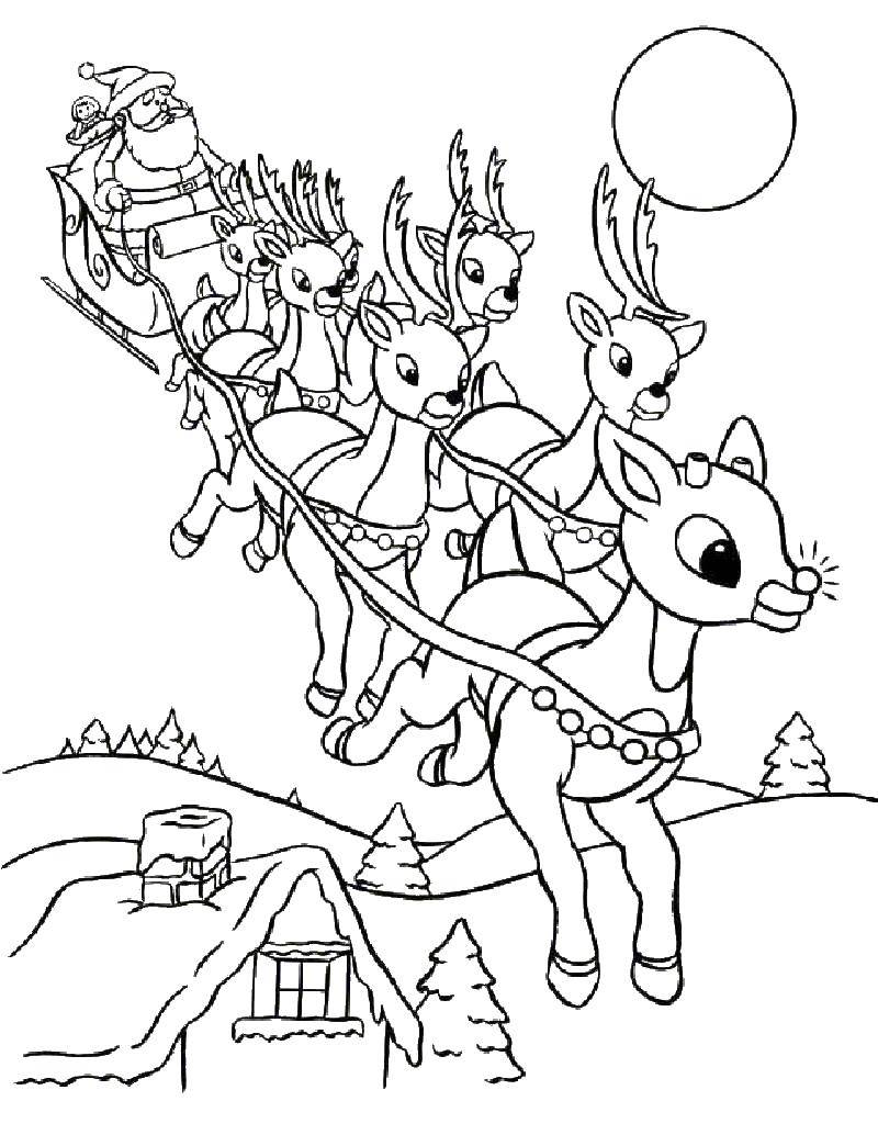 Coloring Santa Claus on sledge with deer. Category Christmas. Tags:  Santa Claus, sleigh.