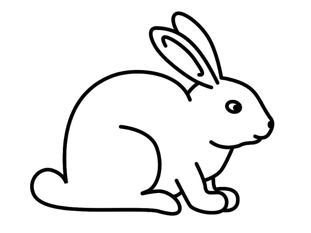 Coloring Hare. Category The contour of the hare to cut. Tags:  hare, ears, contour.