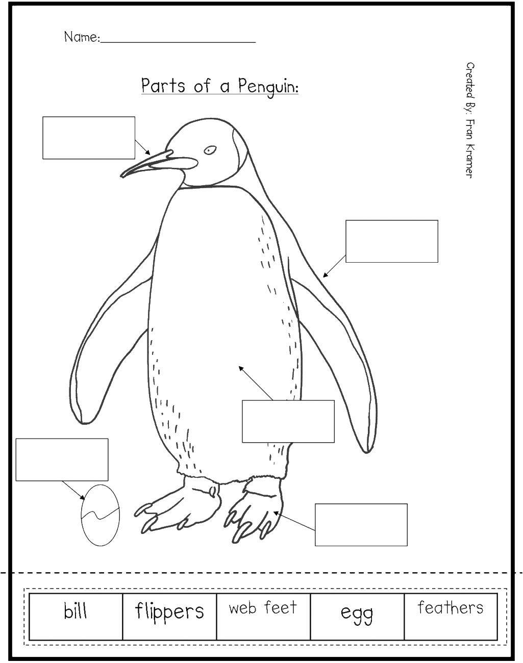 Название: Раскраска Части пингвина. Категория: Животные. Теги: части пенгвина, английский.