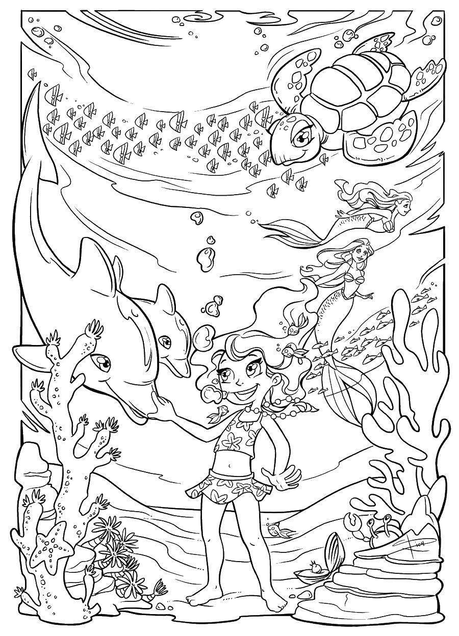 Coloring Girl underwater with dolphins. Category coloring. Tags:  girl , mermaid, Dolphin.