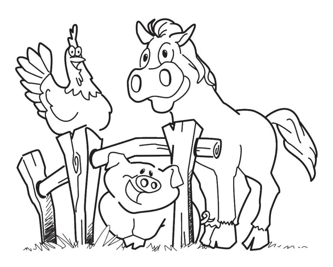 Название: Раскраска Лошадь петух свинья. Категория: домашние животные. Теги: лошадь, петух, свинья.
