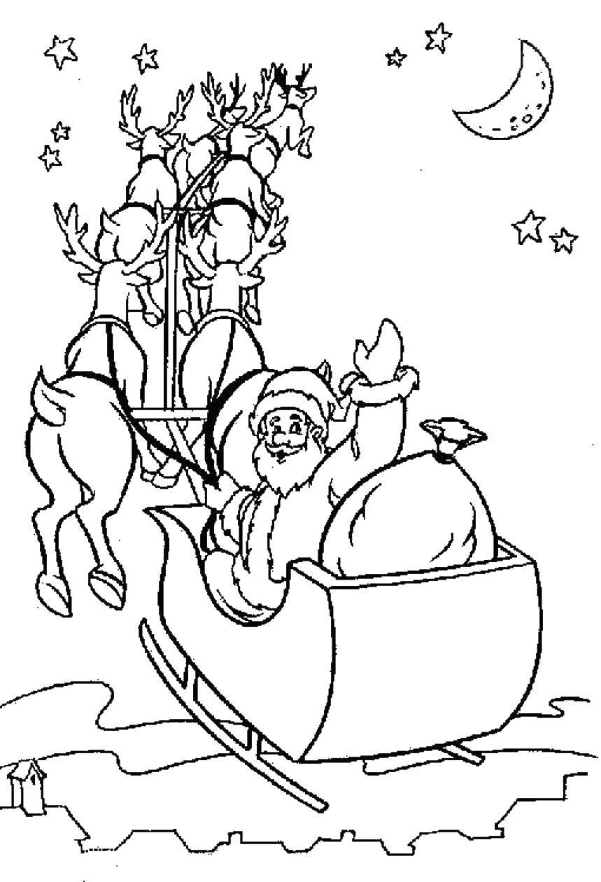 Раскраска «Олень и Санта Клаус в лесу»