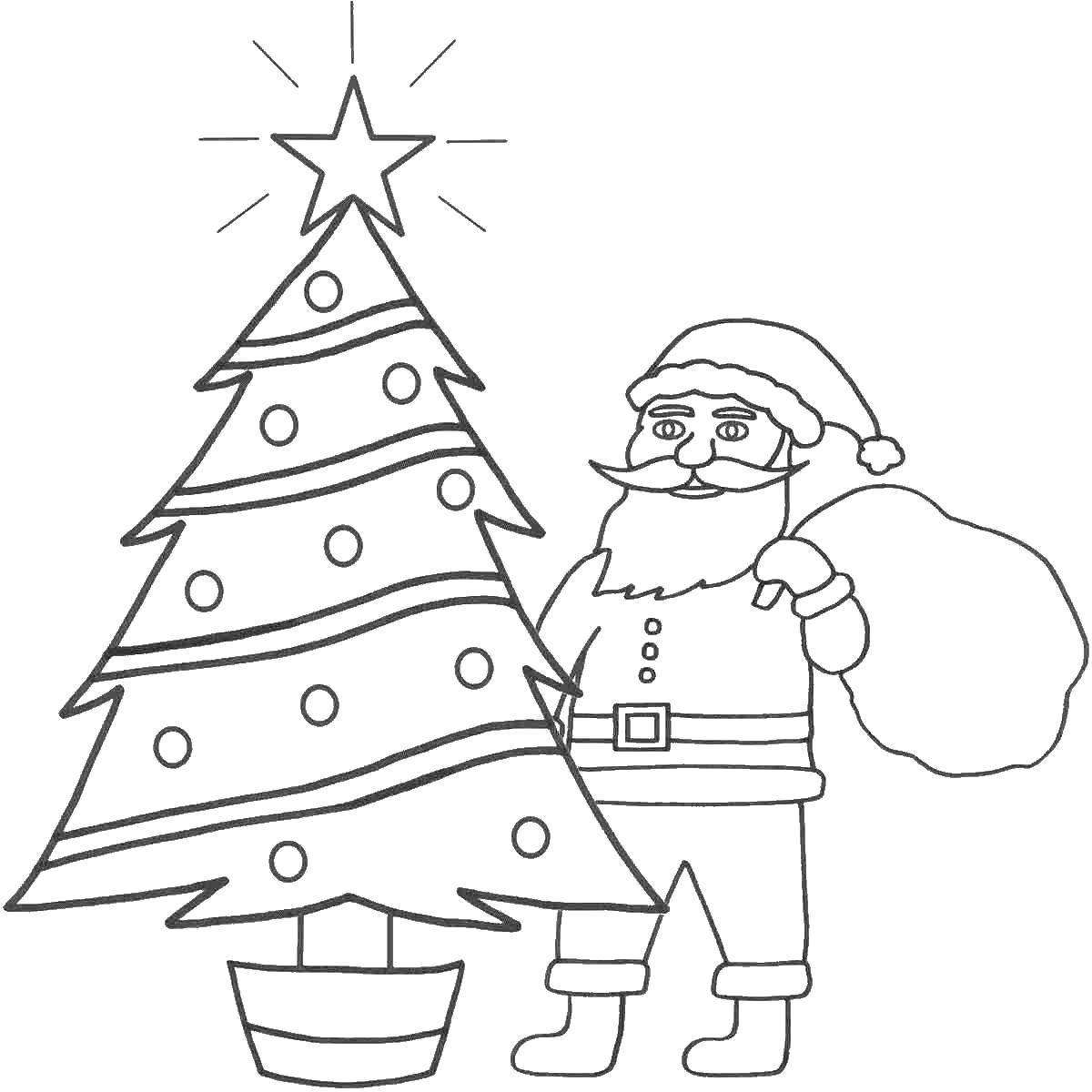 Название: Раскраска Санта клаус с рождественской елкой. Категория: рождество. Теги: рождество, елка, санта.